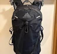 GREGORY MIKO 20 Backpack Black 20L Nylon Mesh Back Panel From Japan | eBay