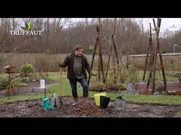 Comment Planter Un Cerisier Au Jardin Truffaut Youtube