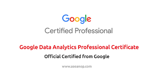 Like most every computer science student looking for a summer internship, i applied to google. Google Data Analytics Professional Certificate Asean Scholarships