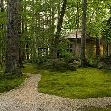 Roll Out The Green Carpet Moss Lawn Moss Garden Outdoor Gardens