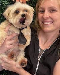Happy 4 Year Zeniversary Dana Ackerman!!It has been so wonderful watching  you grow over the years into a truly caring & compassionate groomer. Your  dedication and love for the pets in our