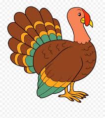 Holidaypng provides you with hq turkey meat transparent images, icons, and vectors. Download Hd Turkey Meat Clip Art Clipart Turkey Png Turkey Clipart Transparent Background Free Transparent Png Images Pngaaa Com