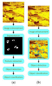 Electronics | Free Full-Text | A Review of Underwater Mine Detection and  Classification in Sonar Imagery