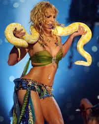 Image result for britney spears python