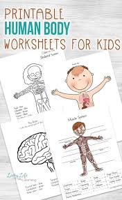 Human Body Worksheets For Kids Kindergarten Science Activities Human Body Worksheets Homeschool Learning