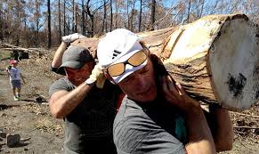 We would like to show you a description here but the site won't allow us. Clarkson Leads Bushfire Relief In Tassie
