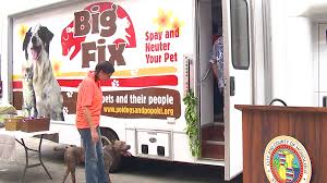 Spaying or neutering your pet is an important decision for pet owners. Mobile Pet Clinic To Offer Spay And Neuter Surgeries Pet Clinic Pets Neuter