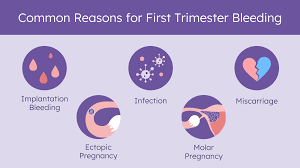Image result for First Trimester Bleeding