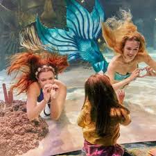 Image result for real mermaid