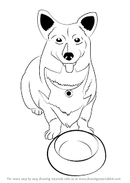 Despite this, cable networks directed at kids like cartoon network and nickelodeon have seen a decline in ratings compared to the same weeks last year, according to a recent report by variety. Learn How To Draw Ein From Cowboy Bebop Cowboy Bebop Step By Step Drawing Tutorials