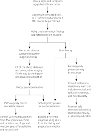 Primary Brain Tumors In Adults Diagnosis And Treatment