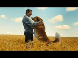 Ez a film a 7079. Egy Kutya Negy Utja Teljes Film Magyarul Online Es Letoltes 2019 Egy Kutya Negy Utja Online Film Es Letolte A Dog S Journey All Marvel Movies Adventure Film