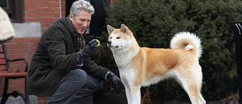 Cao De Pequeno Porte De Origem Mexicana Pin Em Netflix