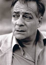 Nel segno del leone (1981)