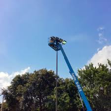 Check spelling or type a new query. Commercial Lighting Lighting Maintenance Services