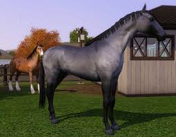 .mustang stallion and i love spirit 100,1000% and i day dream about spirt stallion of the cimarron be my dream horse to own and spirit is real and there is a lot of kiger mustang out. Mod The Sims Grullo Mustang Stallion