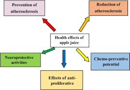 Check spelling or type a new query. Health Promoting Perspectives Of Fruit Based Functional Energy Beverages Sciencedirect
