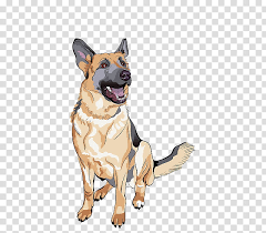 Polish your personal project or design with these dog transparent png images, make it even more personalized and more attractive. Golden Retriever German Shepherd Puppy Purebred Dog Cartoon Pet German Shepherd Dog Police Dog Transparent Background Png Clipart Hiclipart