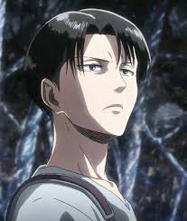 How tall is levi ackerman? Attack On Titan Eren Levi Ackerman Season 4 Novocom Top
