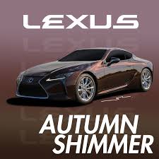 Image result for Autumn Shimmer 2019 UX