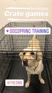 Susan garrett, leading educator of dog trainers as well as twice world champion in. Dog Training Fresno Clovis Dog Training Fresno Board And Train Dog Training Books Dog Training Puppy Training Biting