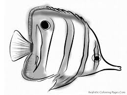 It is a great tool for boosting confidence, improving counting and alphabet recognition. Realistic Ocean Fish Coloring Pages Coloring And Malvorlagan