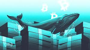 Trend Google: bitcoin