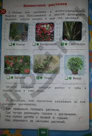 окружающий мир 2 класс рабочая тетрадь проект красная книга Reshebnik Po Okruzhayushemu Miru Pleshakov I Novickaya 2 Klass Otvety Prakard