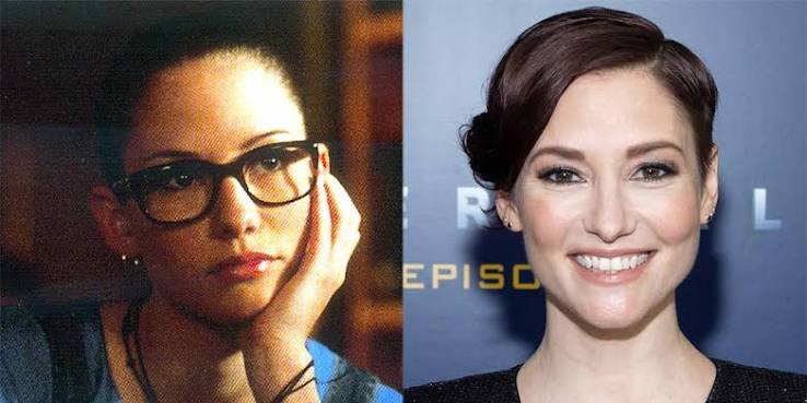 See the Stars of Not Another Teen Movie, Then & Now