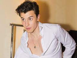 Maybe you would like to learn more about one of these? Shawn Mendes Net Worth 2020 How Much Is Shawn Mendes Worth