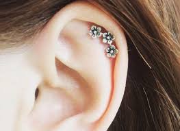 Whether you want 3 cartilage or lobe piercings, this style looks good with studs, hoops, and cuffs. 8 Amazing Cartilage Ear Piercing Ideas To Enhance Your Beauty Viva