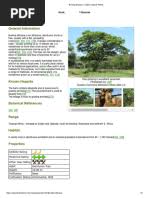 Image result for Ekebergia benguelensis