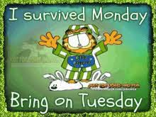 Check out our deals in action for inspiration. Tuesday Morning Gifs Tenor