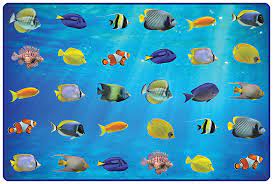 These kids rugs come in educational themes and play themes. Friendly Fish Seating Rug Carpets For Kids