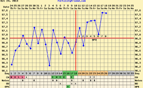 Triphasic Chart Babycenter