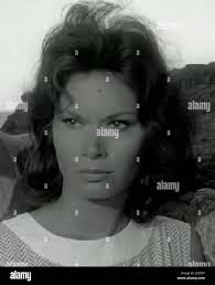 Lea massari hi-res stock photography and images