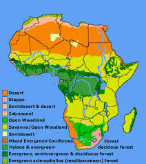 The map was created by collapsing the 129 distinct. Quotes About Vegetation 55 Quotes