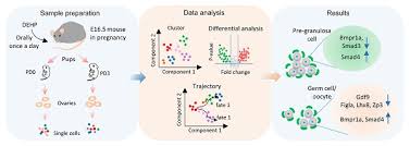 The continent of raieo was once ravaged by the demon king and the demon race, in the darkest of times a brave knight carried a sacred sword saved the continent. Volume 11 Issue 10