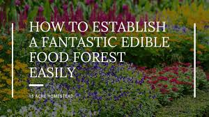 Eat only organically grown flowers. Fantastic Edible Food Forest 11 Ways To Establish It Easily 15 Acre Homestead