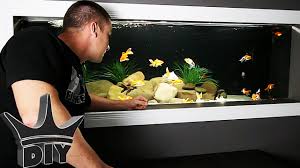 Nov 18, 2019 · tilgængelighed. My Huge Goldfish Aquarium Update Hydroculture Global