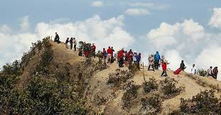 Pastinya kamu waktu kecil juga begitu kan? Terpikat Keindahan Gunung Lawu Unik Ada Monyet Liar Mengincar Makanan Pendaki