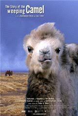 Janchiv ayurzana, chimed ohin, amgaabazar gonson and others. The Story Of The Weeping Camel On Dvd Movie Synopsis And Plot
