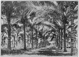 His works reflect russian art's main ideological and formal aspirations in the second half of the 19th century. Beautiful Philippines A Handbook Of General Information