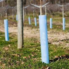 We did not find results for: Bluex Tree Shelters Forestry Suppliers Inc