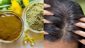 Blackstrap molasses is a great home remedy which can help to slow down the growth of grey hairs. Home Remedies For Grey Hair How To Stop Premature Greying Of Hair And Prevent Naturally