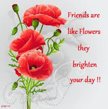Pictures of flowers to brighten your day. Friends Are Like Flowers They Brighten Your Day Flower Backgrounds Red Poppies Poppies