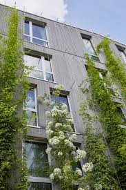 Site Search Discovery Powered By Ai Green Architecture Green Facade Sustainable Architecture