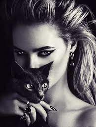 خلفيات قطط كيوت 2019 صور قطط للبنات رائعة 2020 فوتوجرافر cat photography photo black cat