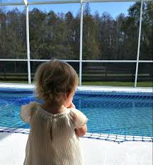 Pool Net Vs Pool Fence What Is The Difference Between A Pool Safety Net And A Pool Safety Fence We Ll Explain T Pool Safety Fence Pool Safety Pool Safety Net