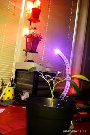 Maybe you would like to learn more about one of these? Battery Powered Led Grow Light 7 Steps Instructables